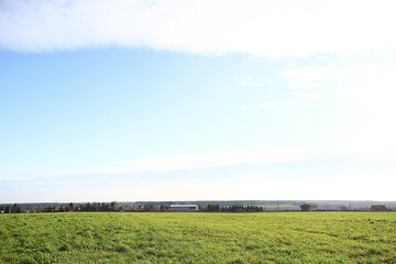 summer road in the field landscape nature meadow