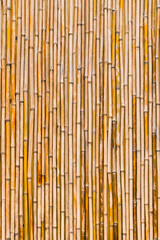 Yellow bamboo enclosure