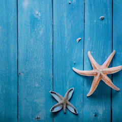 Seashell, starfish and beach sand on blue wooden background