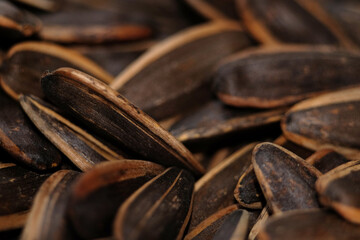 Close up of roasted sunflower seed 