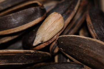 Close up of roasted sunflower seed 