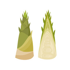 Vector illustration, whole and half bamboo shoots, isolated on white background.
