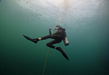 Scuba diver in tropical waters hanging on to diving rope - under angled shot with the scuba diver in the middle of the frame - scuba diver descending down on the rope - in southern Thailand