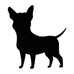 Dog silhouette, chihuahua breed. Side view pet stand icon in black color. Make used for dog show, competition, pet store, guide dog, dog walking. Domestic animal isolated on white background