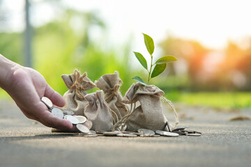 Saving money by putting a coin into bank  on nature background