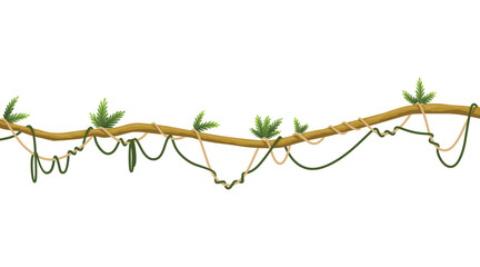 Lianas stem border. Rainforest green vine or twisted plant hanging on branch. Cartoon jungle creeper, leaves or moss on tree. Vector isolated game scenery element. Tropical nature plant