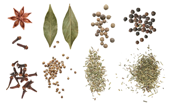 bay leaf ,spices, cilantro, coriander, fennel, basil, carnation, star anise isolated on a white background. The view from top. allspice on white background