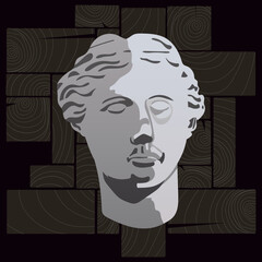 Illustration of an ancient statue on a black background. The head of the ancient goddess Aphrodite, Venus of Milo, a bust of a plaster head in a modern vector image on a background of wooden slats