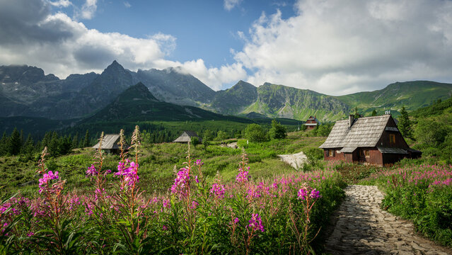 Hala Gąsienicowa | Tatry, Poland