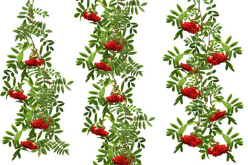 Print with bunches of red rowan and green leaves