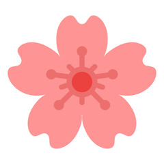cherry blossom spring season nature icon