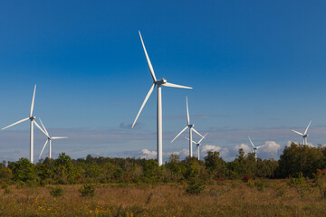 Wind turbines that produce electricity, field in Paldiski, Estonia
