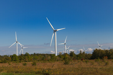 Wind turbines that produce electricity, field in Paldiski, Estonia