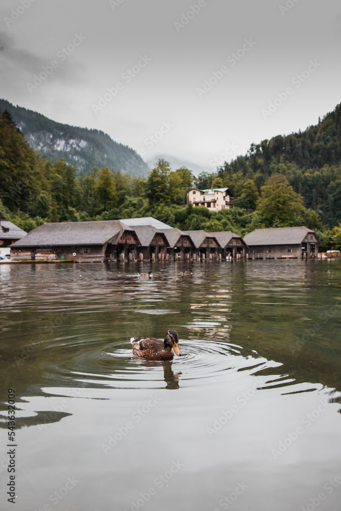 Wall mural cloudy weather at konigsee