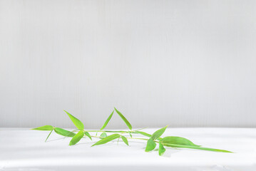 Minimalist product presentation with green bamboo leaves on white background; Template for merchandise presentation