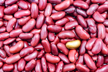 red beans background with isolated golden beans abstract
