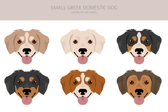 Small Greek Domestic dog clipart. All coat colors set.  All dog breeds characteristics infographic