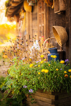 Autumn idyll in the countryside | Poland
