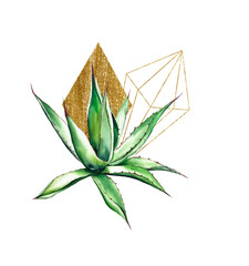 Cacti abstract composition watercolor illustration botanical floral design