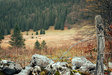 Fototapeta premium autumn in the mountains