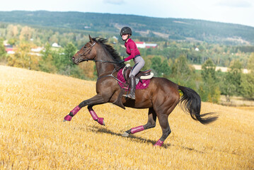 Horse galopping on a yellow field with pink tack.