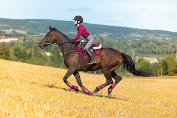 Horse galopping on a yellow field with pink tack.