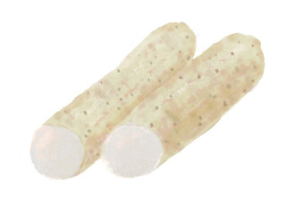 水彩の長いも01_1