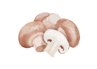 水彩のマッシュルーム01_1