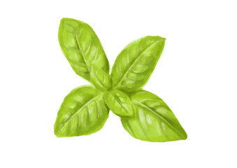 水彩のバジル01_1
