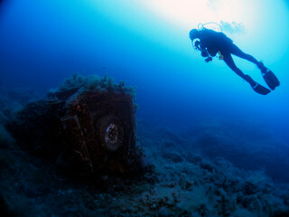 Fototapeta premium Scuba Diving and Underwater Photography Malta Gozo Comino - Wrecks Reefs Marine Life Caverns Caves History