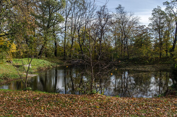 Park w Iwoniczu koło dworu Załuskich 