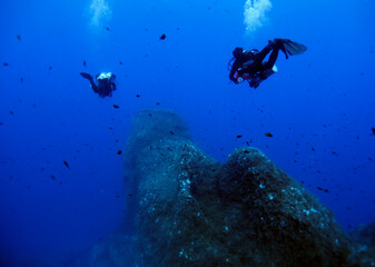 Scuba Diving and Underwater Photography Malta Gozo Comino - Wrecks Reefs Marine Life Caverns Caves History