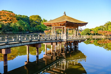 【奈良県】奈良公園 浮見堂