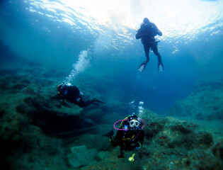 Naklejka na ściany i meble Scuba Diving and Underwater Photography Malta Gozo Comino - Wrecks Reefs Marine Life Caverns Caves History