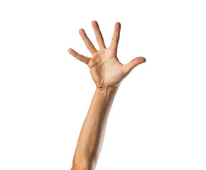 hand rising isolated. transparent background