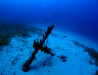 Scuba Diving and Underwater Photography Malta Gozo Comino - Wrecks Reefs Marine Life Caverns Caves History