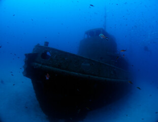 Scuba Diving and Underwater Photography Malta Gozo Comino - Wrecks Reefs Marine Life Caverns Caves History