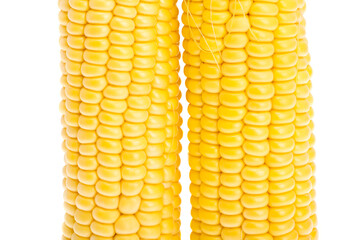 corn isolated