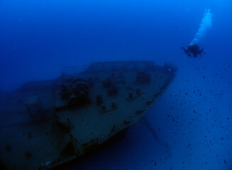 Scuba Diving and Underwater Photography Malta Gozo Comino - Wrecks Reefs Marine Life Caverns Caves...