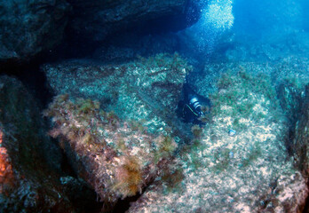 Fototapeta na wymiar Scuba Diving and Underwater Photography Malta Gozo Comino - Wrecks Reefs Marine Life Caverns Caves History 