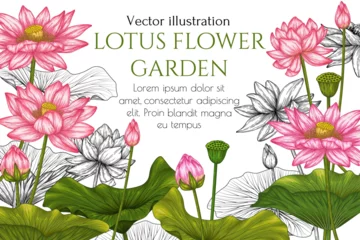 Foto op Canvas Vector banner template with lotus garden in engraving style and in color © Viktoriia Holovko
