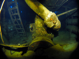 Scuba Diving and Underwater Photography Malta - Wrecks Reefs Marine Life Caverns Caves History