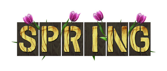 Spring. Word from wooden letters, with green grass and tulips, isolated on white background. Seasons.