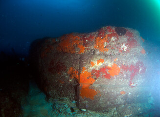 Scuba Diving and Underwater Photography Malta - Wrecks Reefs Marine Life Caverns Caves History