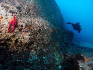 Fototapeta premium Scuba Diving and Underwater Photography Malta - Wrecks Reefs Marine Life Caverns Caves History