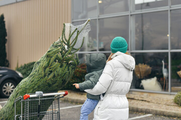 Mother bought a Christmas tree in the market