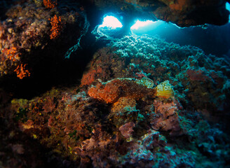 Fototapeta na wymiar Scuba Diving and Underwater Photography Malta - Wrecks Reefs Marine Life Caverns Caves History