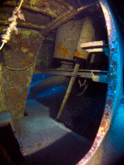 Scuba Diving and Underwater Photography Malta - Wrecks Reefs Marine Life Caverns Caves History