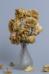 Pass away depressed rose in vase - 543662633