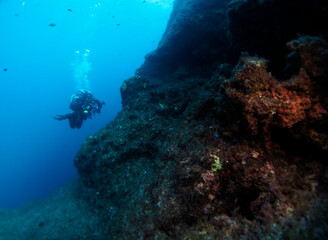 Plakat Scuba Diving and Underwater Photography Malta - Wrecks Reefs Marine Life Caverns Caves History